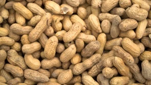 Got to Be NC - Peanuts