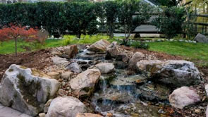 Peaceful Ponds